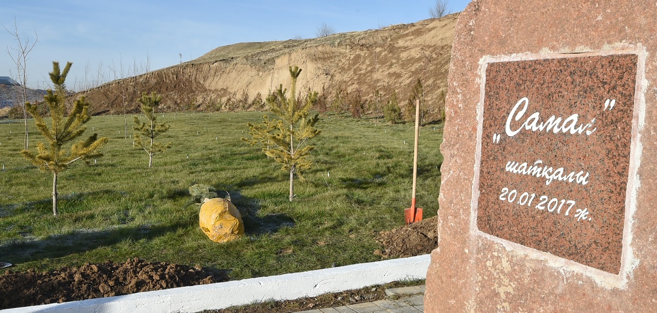 Shymkenttegi shatqaldarda  81 myń túp kóshet otyrǵyzylǵan
