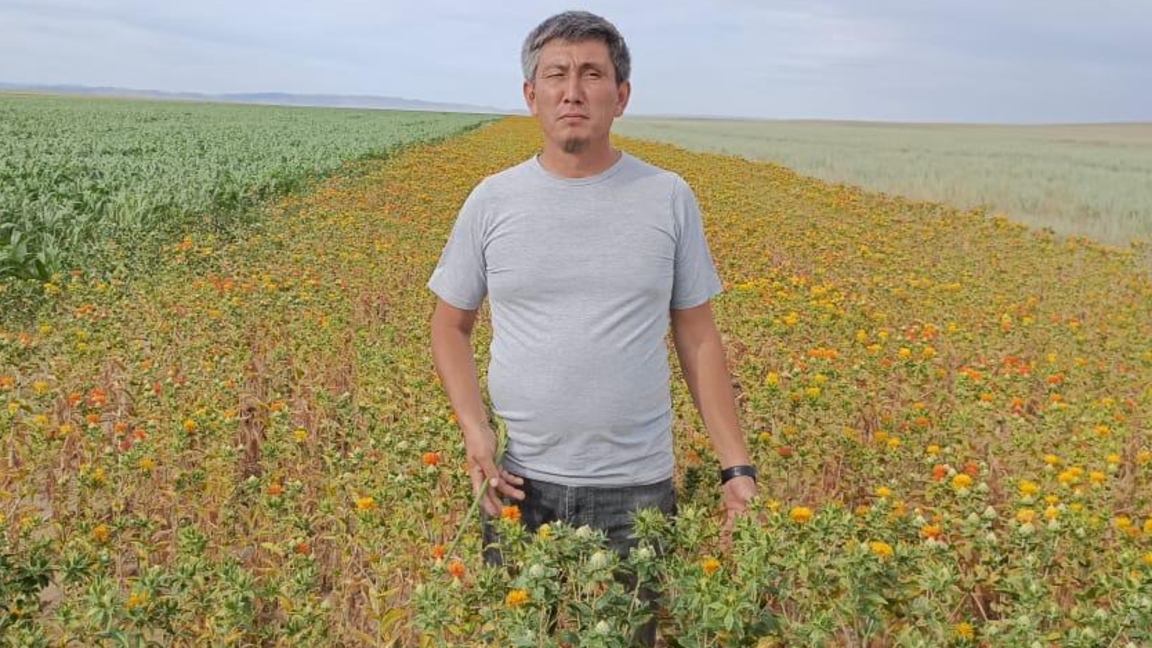 Шеңгелді ауылындағы пияз қорының жай-күйі қалай? - маман пікірі