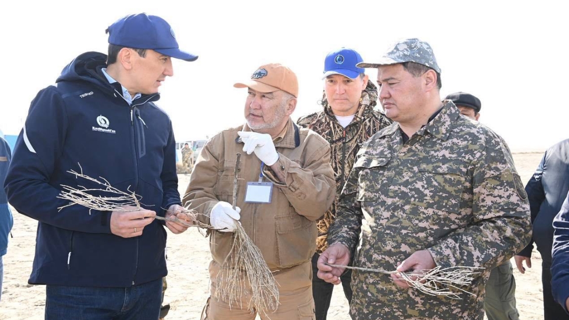 ҚазМұнайГаздың қолдауымен Арал теңізінің құрғаған табанына 4,4 млн-нан астам сексеуіл көшеттері егіледі