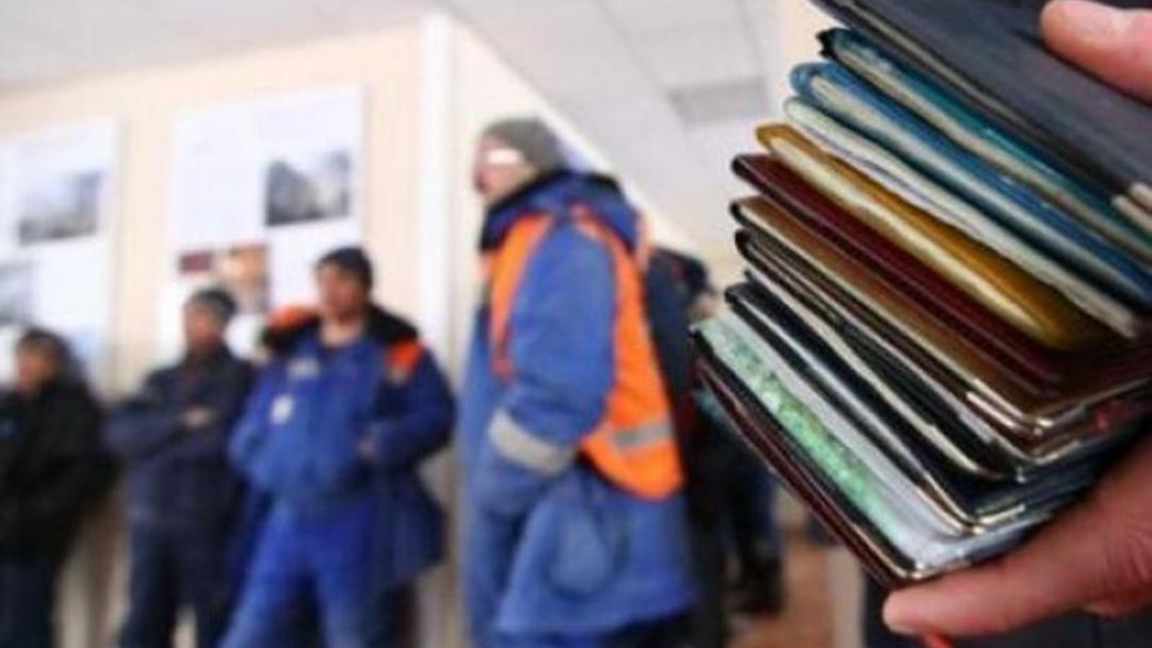 شەتەلدٸك جۇمىس كٷشٸ قازاقستاننىڭ قاي سالالارىنا كٶبٸرەك تارتىلعان - ستاتيستيكا