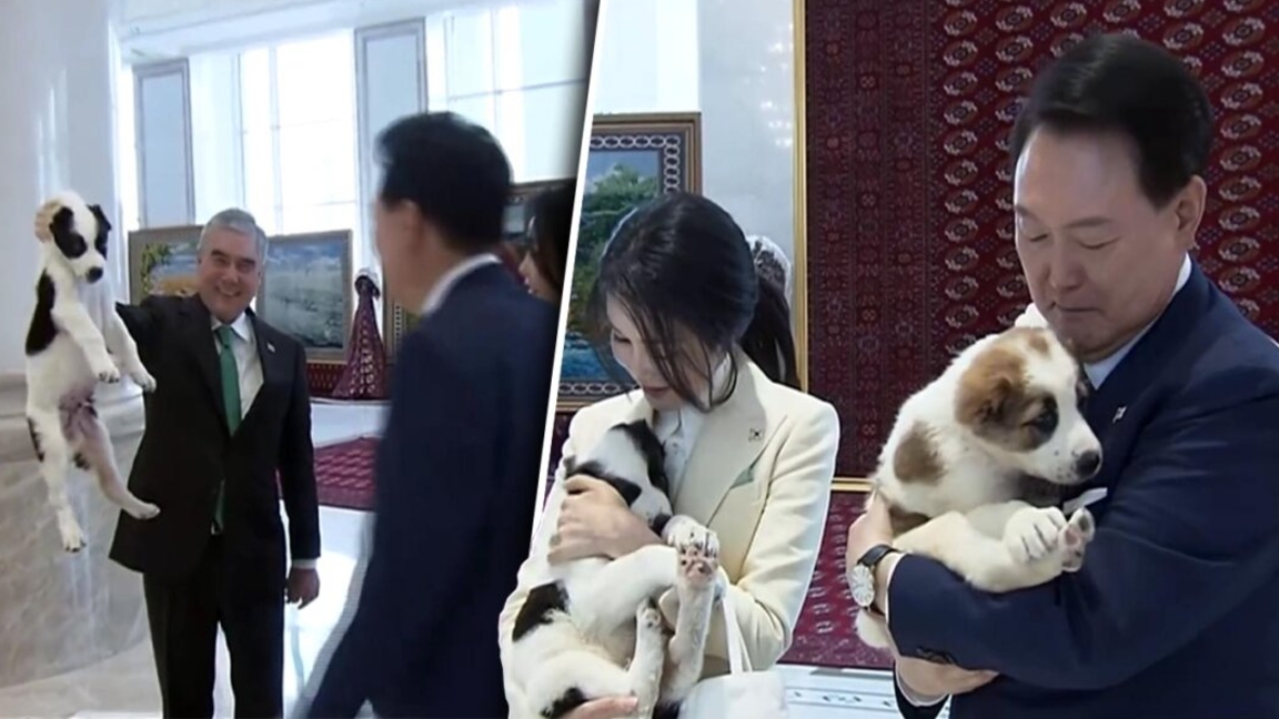 Berdymuhamedovtyń Ońtústik Koreia prezidentine syilaǵan alabailary zoobaqtan bir-aq shyqty