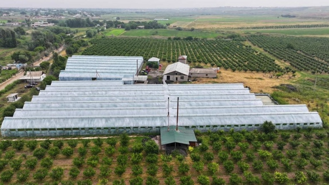 Agro salany ártarptandyrý. Elimizdegi jylyjai óndirisiniń múmkindikteri