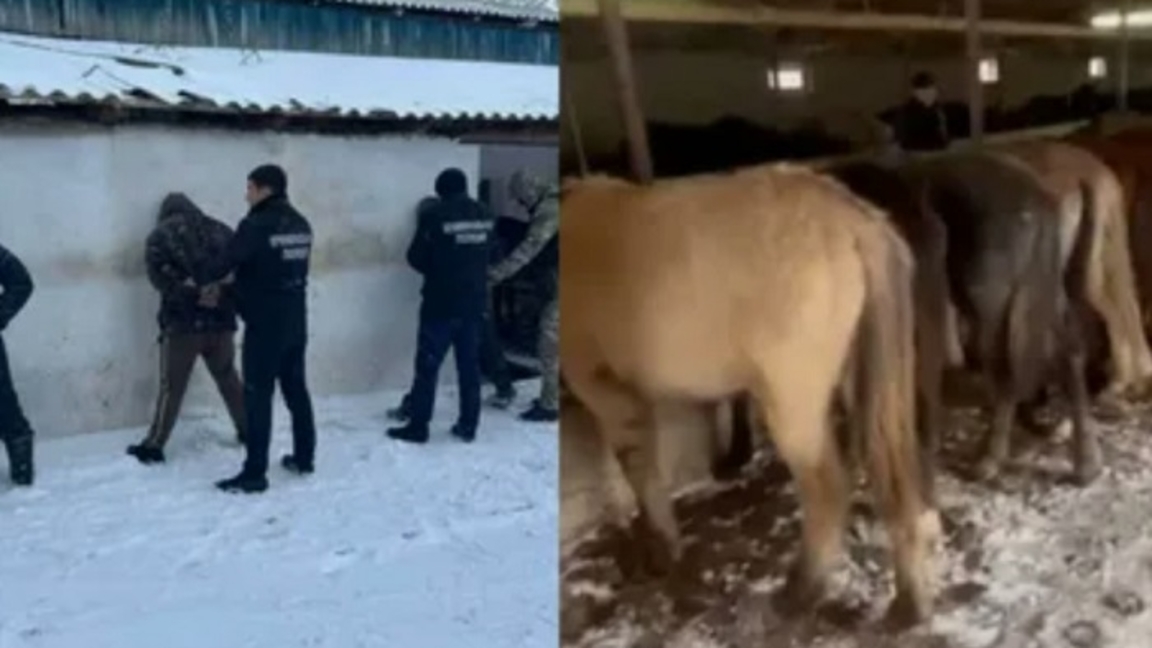 Almaty oblysy. Bir táýlikte úsh barymtashyny quryldy