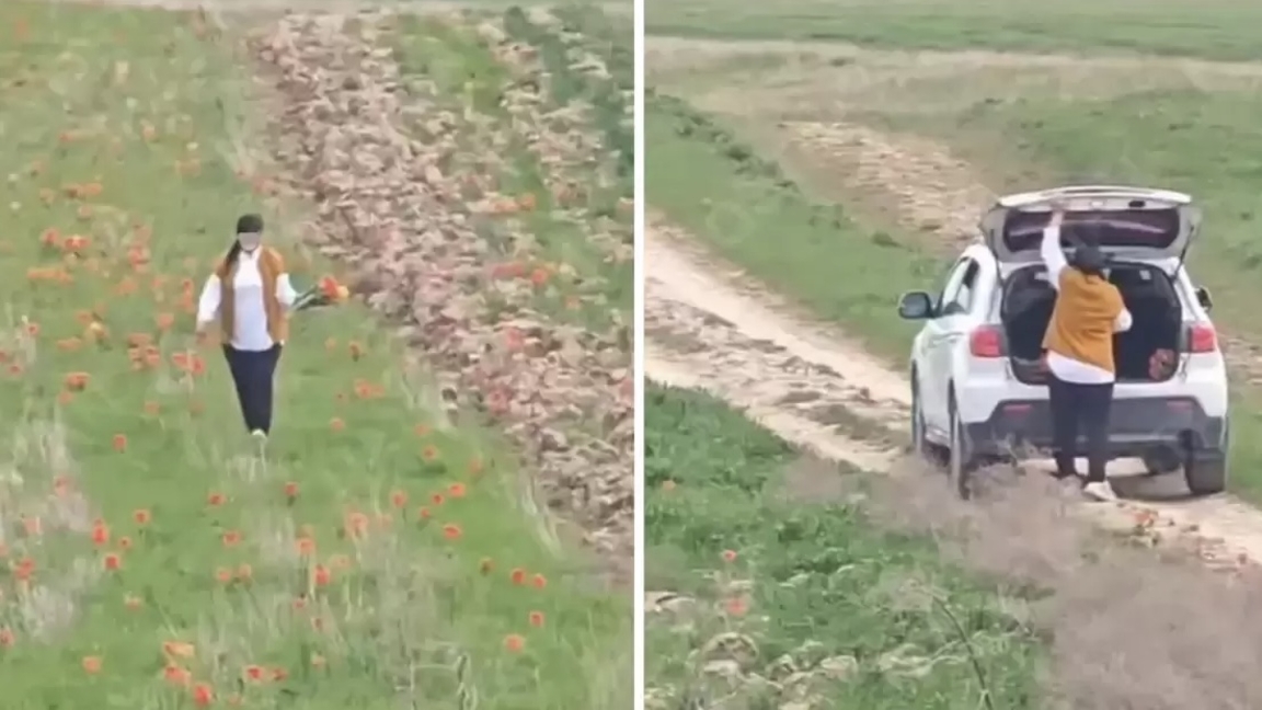 Shymkentte qyzǵaldaq tergen kelinshek jaýapqa tartyldy