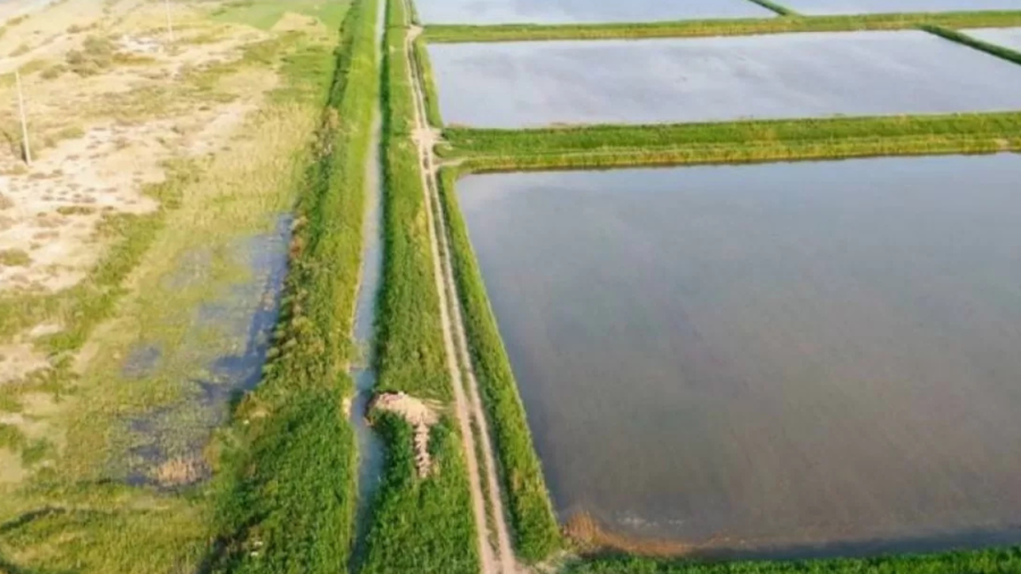 Qyzylorda oblysynda 15 myń gektar sýarmaly jer qalpyna keltirildi