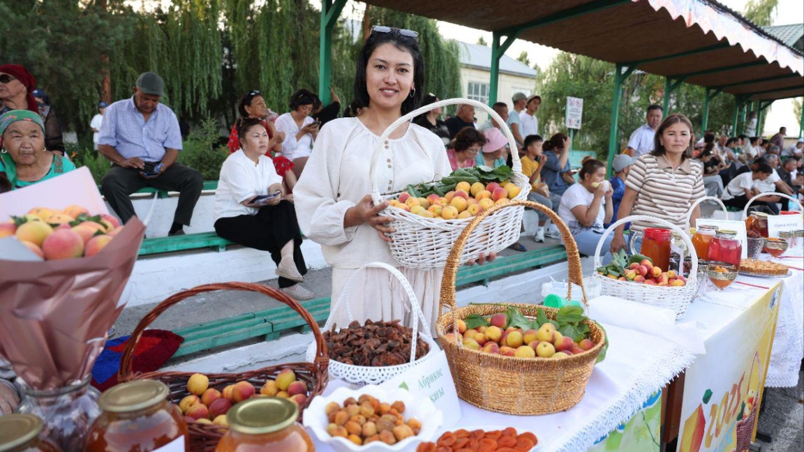ۇيعىر اۋدانىندا العاشقى Apricot Fest فەستيۆالٸ ٶتتٸ