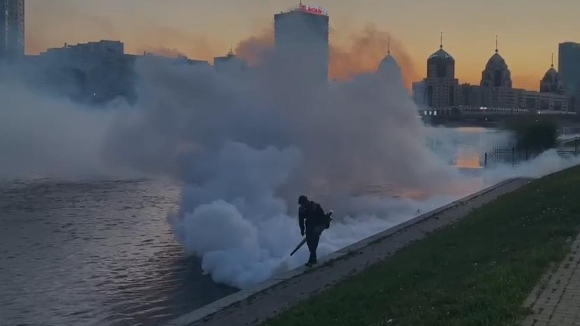 Masa men shybyn-shirkeige qarsy kúres: Astanada dezinsektsiianyń úshinshi kezeńi bastaldy