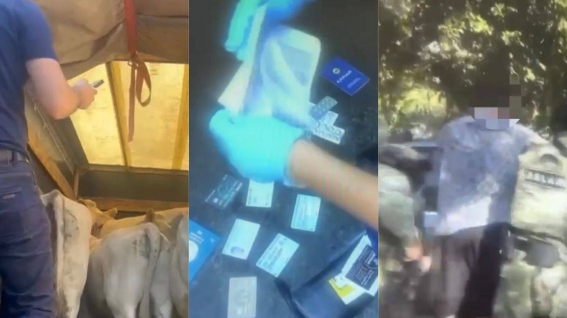 جەتٸسۋ وبلىسىندا مال ۇرلىعىمەن اينالىسقان كٷدٸكتٸلەر ۇستالدى