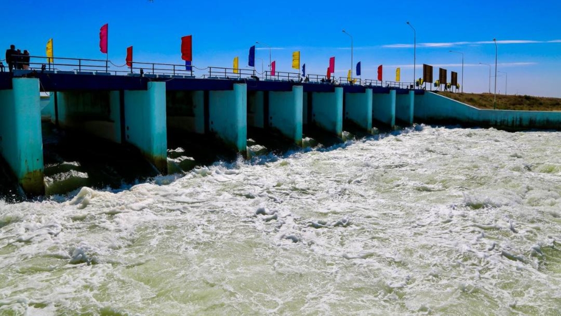 ارال اۋدانىندا كٶكارال بٶگەتٸ قايتا قالپىنا كەلتٸرٸلۋدە: جوبانىڭ قۇنى – 4,5 ملرد تەڭگە