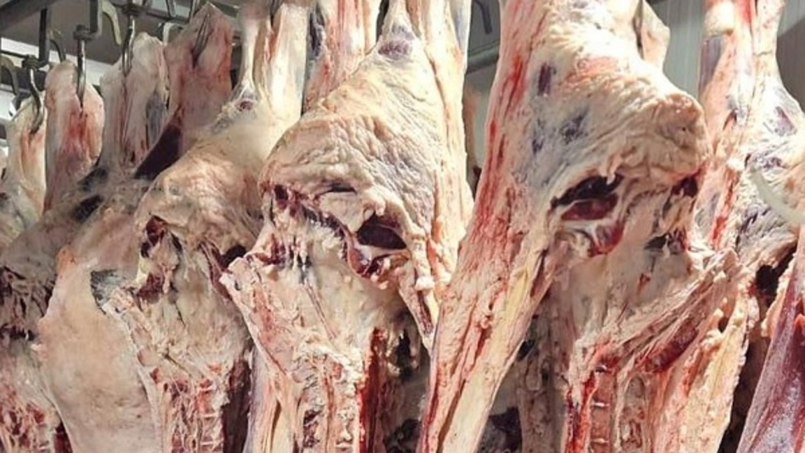 Aqbóken eti qaýipsiz – veterinarlyq anyqtamamen ǵana satylýda