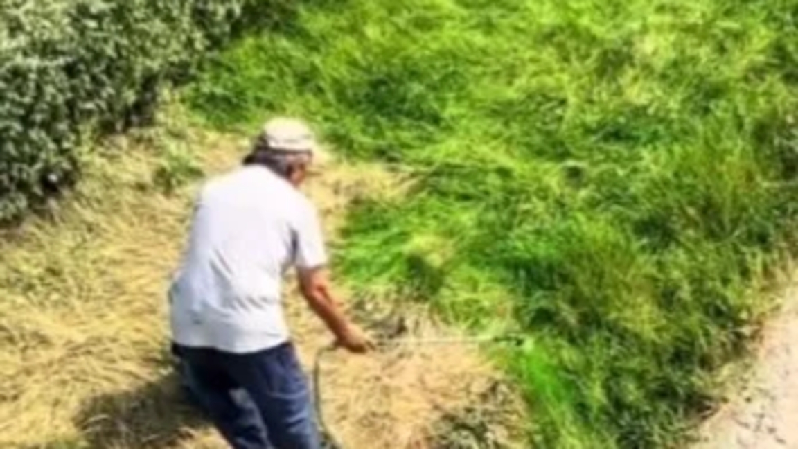 الماتىدا شٶپتٸ جاسىل تٷسكە بوياعان: ەكٸمدٸك تٷسٸنٸكتەمە بەردٸ