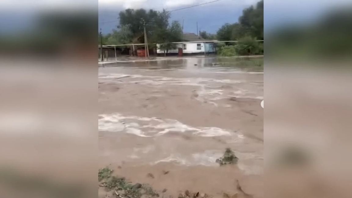 جەتٸسۋ وبلىسىنداعى اۋىلدى جاڭبىر سۋى باسىپ قالدى