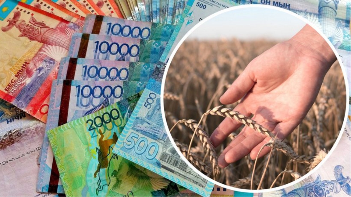 اباي وبلىسىندا سۋبسيدييا بٶلۋ كەزٸندەگٸ زاڭبۇزۋشىلىق انىقتالدى