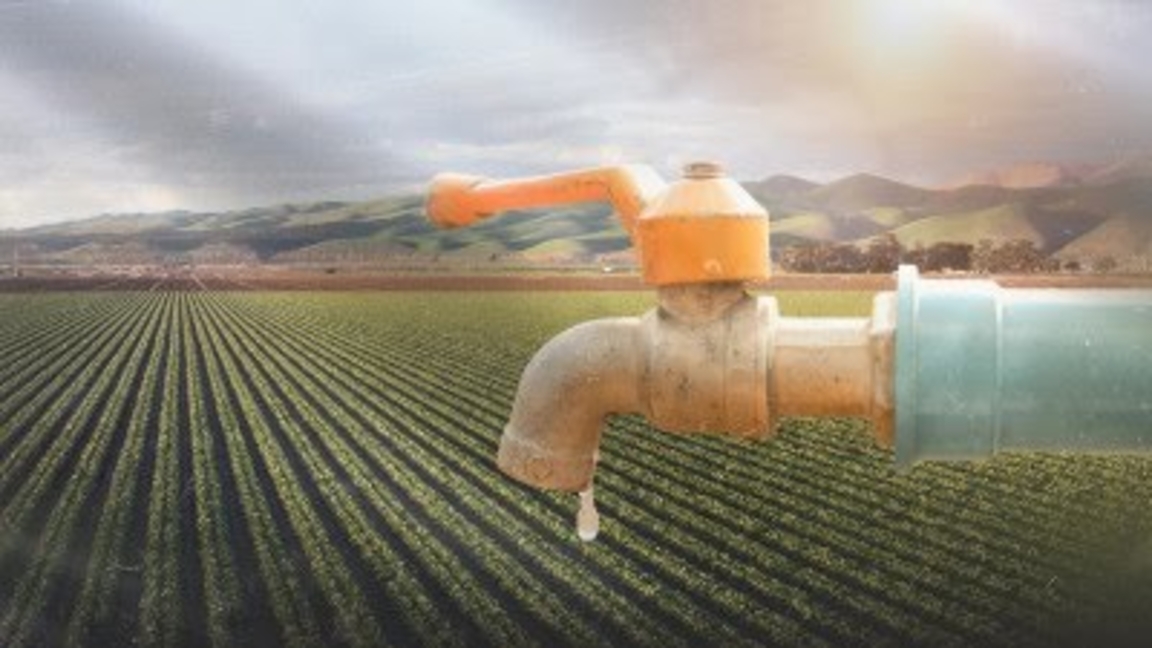 Sý únemdeý tehnologiialary agroónerkásiptiń damýyna jańa serpin berdi — sarapshy