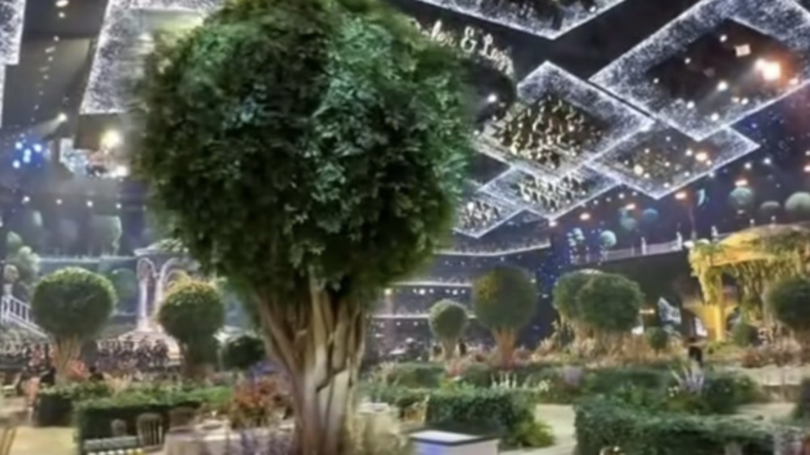 100 ادامنان اساتىن تويلارعا زاڭمەن تىيىم سالۋ كەرەك - تانىمال جۋرناليست