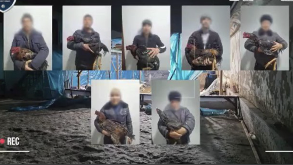 Әтеш төбелестірген тұрғын 7 жылға сотталуы мүмкін
