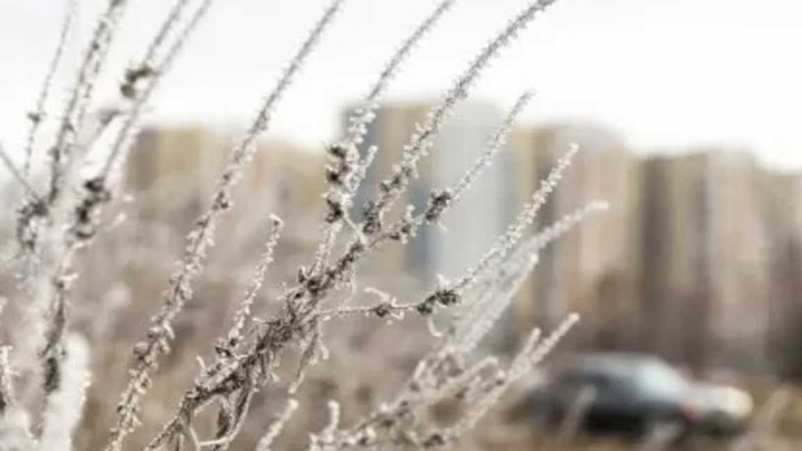 دەمالىس كٷندەرٸ ەلٸمٸزدٸڭ باسىم بٶلٸگٸندە اياز بولادى