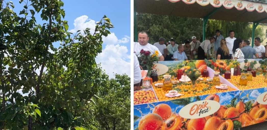 Қарадала өрігіне ресейліктердің сұранысы артқан