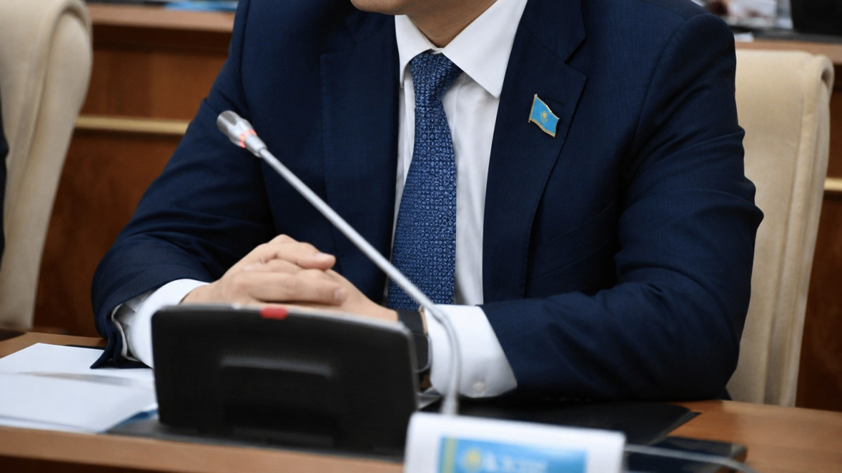Құрылтай депутаттарын сайлау науқаны қалай өтеді?