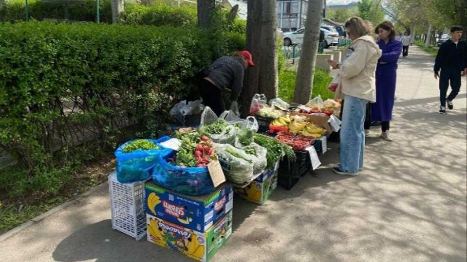 Алматыда жеті ірі заңсыз сауда орны жабылды