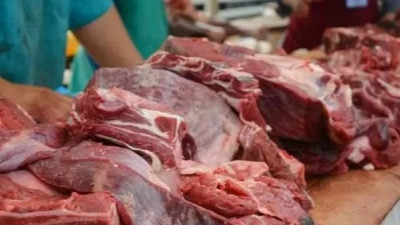 Шаққалиев ет бағасының қымбаттауына қатысты пікір білдірді