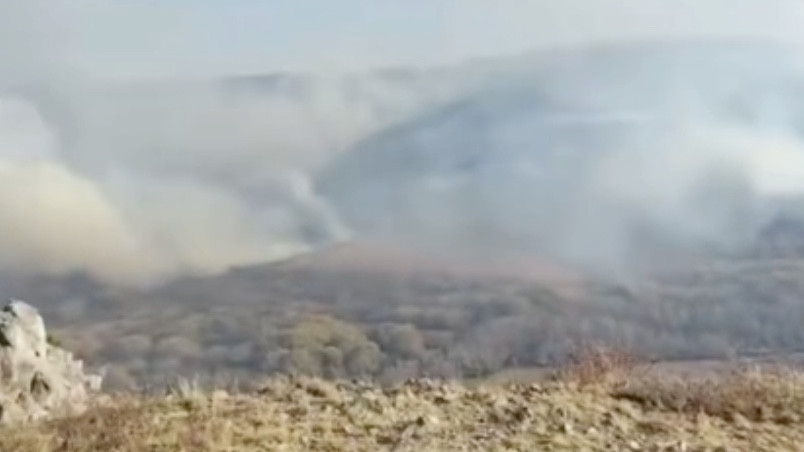 Тарбағатай ұлттық паркінде өртті сөндіру жұмыстары қиындап жатыр