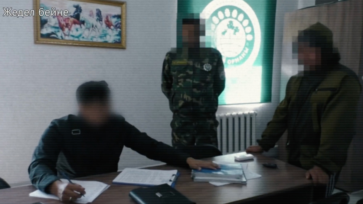 “Семей орманында“ лауазымды тұлғалардың заңсыз әрекеті әшкере болды