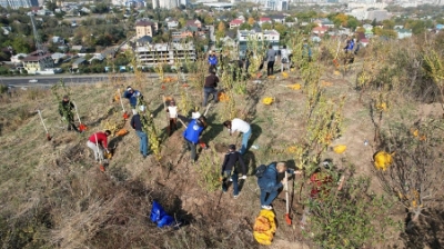 Алматыдағы сенбілікте 5 мың текше метр қоқыс жиналып, 9 мыңнан астам ағаш отырғызылды