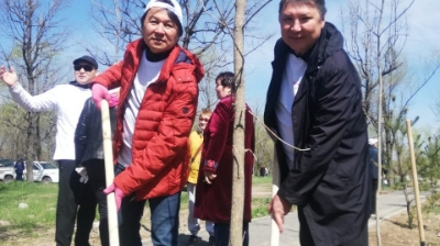 «Almaty Clean & Green»: Өктем Алтаев Желтоқсан саябағында тал екті