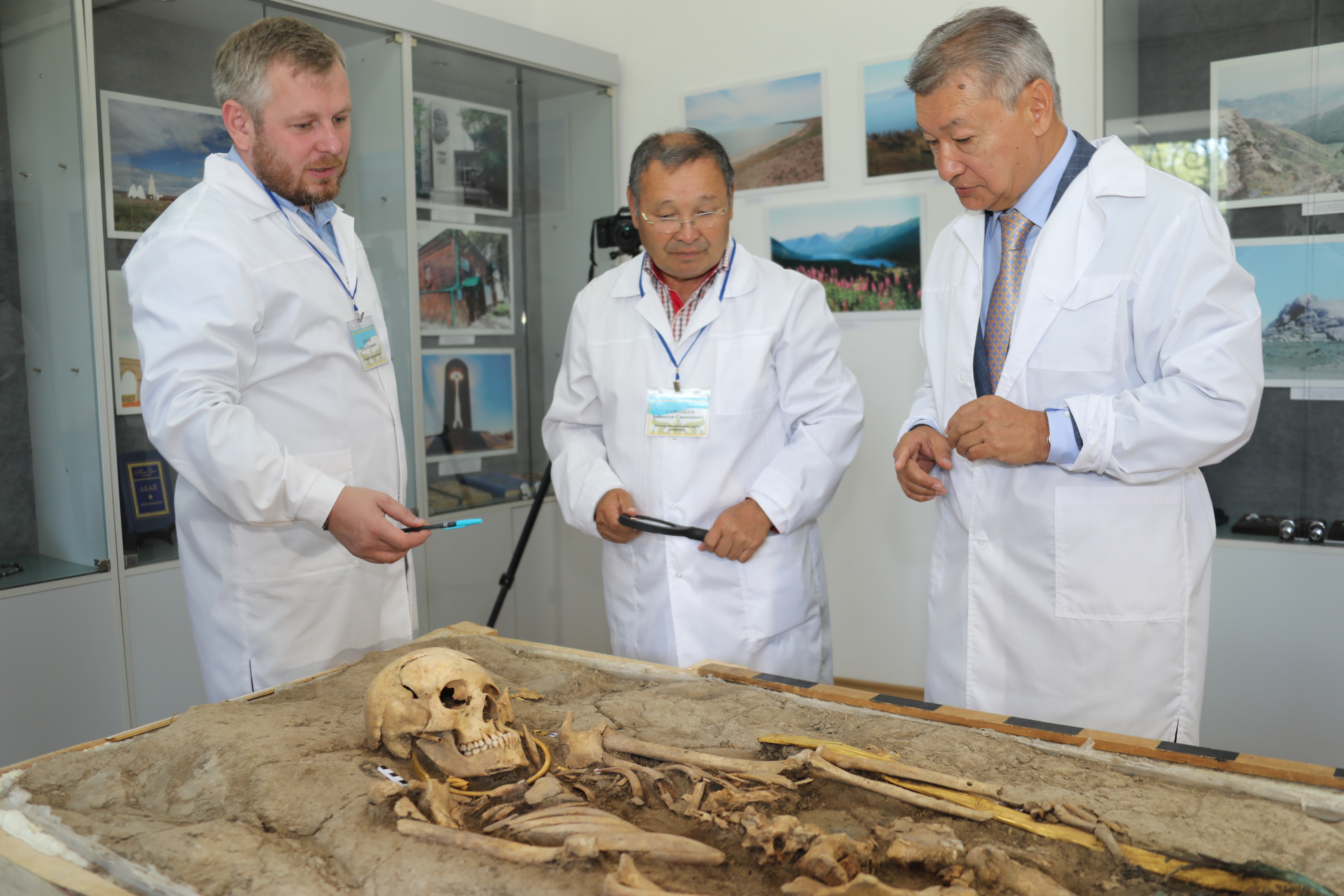 ШҚО қорғандарынан табылған 60 мың артефакт әйгілі ғалымдардың назарын аударуда