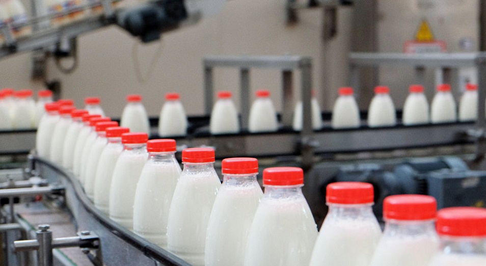 Восточный Казахстан намерен усилить позиции лидера в молочном производстве