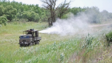 Абай облысында шегірткенің таралуына тосқауыл қойылды