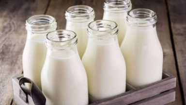 Около 200 тыс. тонн молока в год перерабатывают ВКО