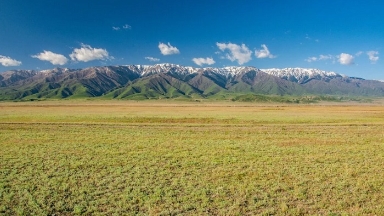 Almaty oblysy paıdalanylǵan aýyl sharýashylyǵy jerleri memleket menshigine qaıtarylýda