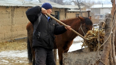 Ауылда 16 мыңға жуық жаңа жұмыс орны ашылды