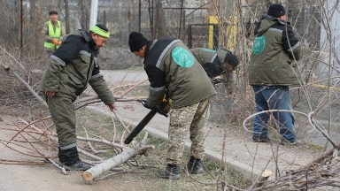 Сарыағашта сенбілік жұмыстары қарқынды жалғасуда