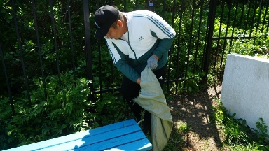 Жетісу облысында «GreenSteppe» экологиялық акциясы өтті