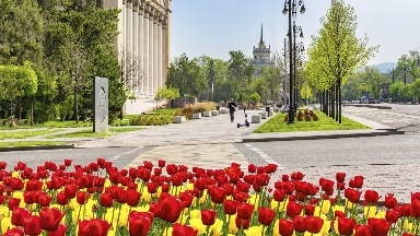 Алматыда көпжылдық өсімдіктерге басымдық берілді