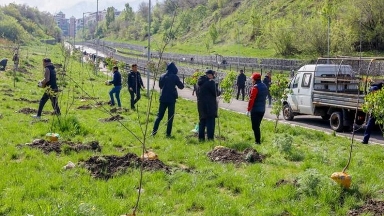 «Taza Qazaqstan – taza keleshekke qadam»: Sarapshylar ekosana týraly pikir bildirdi