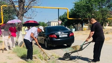 Шардарада өткен сенбілік аясында 20 мыңнан астам тал егілді