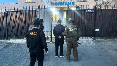 "Семей орманында" 260 мыңнан астам көшет ұрлағандар ұсталды