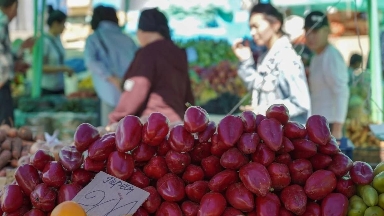 قۇربان ايت قارساڭىندا استانادا اۋىل شارۋاشىلىعى جارمەڭكەسى وتەدى