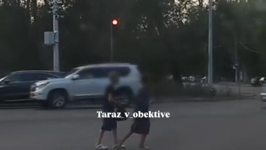 Жамбыл облысында жол ортасында қимылсыз, қатып қалған екі бала: полиция түсініктеме берді