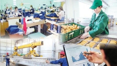 Түркістан облысында жыл басынан бері 50 мыңнан астам адам жұмыспен қамтылды