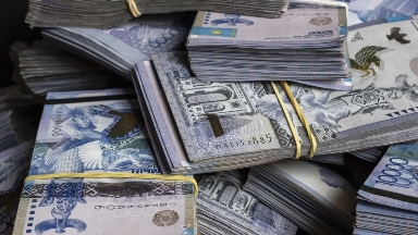 Депутат мемқарызға көрсетілетін қызмет шығындарының артуына байланысты алаңдаушылық білдірді