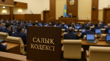 Қаржыгер-маман: Жаңа Салық кодексін Мемлекет басшысы қабылдамай тастауы да мүмкін