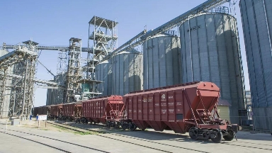 Қазақстанның астық экспортының көлемі 60%-ға артты