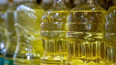 Күзде күнбағыс майы қымбаттауы мүмкін – мамандар дабыл қақты