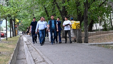 Darhan Satybaldy Dostyq dańǵylynyń abattandyrý jumysyn baqylap shyqty