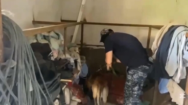 Almaty qalasynda psıhotroptyq zattardy taratýǵa qatysy bar kúdiktiler ustaldy